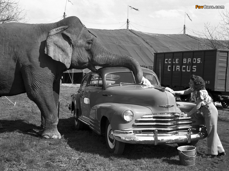 Chevrolet Fleetline Aerosedan (EK-2144) 1947 photos (800 x 600)