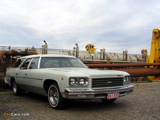 Images of Chevrolet Impala Station Wagon 1976 (640 x 480)