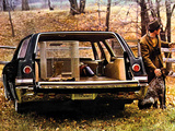 Chevrolet Impala Station Wagon 1965 wallpapers
