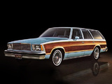 Chevrolet Malibu Classic Wagon 1978 images