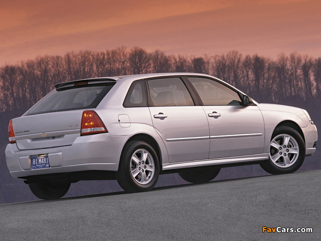 Images of Chevrolet Malibu Maxx 2004–06 (640 x 480)