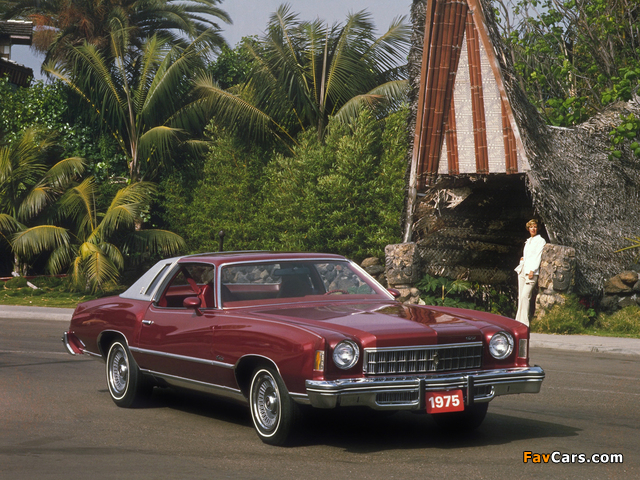 Chevrolet Monte Carlo Coupe 1975 images (640 x 480)