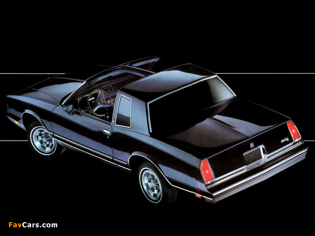Chevrolet Monte Carlo T-Top 1981–85 photos (640 x 480)