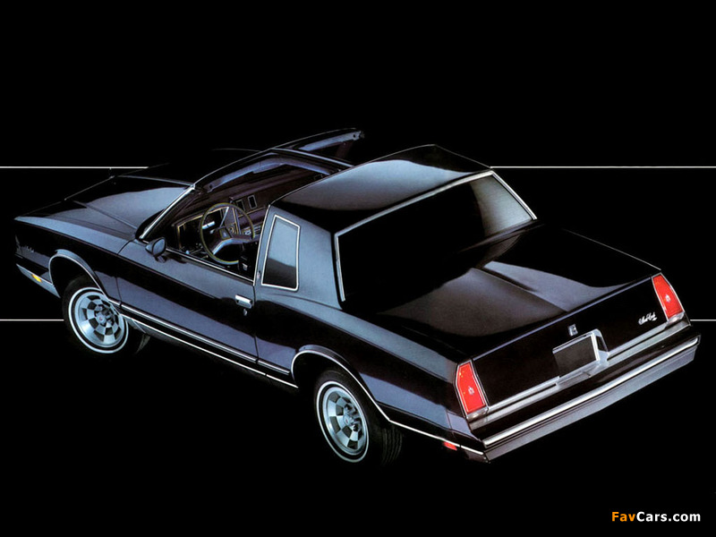 Chevrolet Monte Carlo T-Top 1981–85 photos (800 x 600)