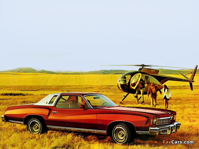 Images of Chevrolet Monte Carlo Landau Coupe 1975 (640 x 480)