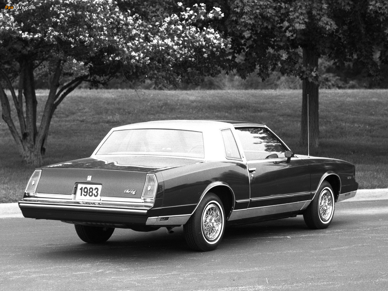 Photos of Chevrolet Monte Carlo 1981–85 (1280 x 960)