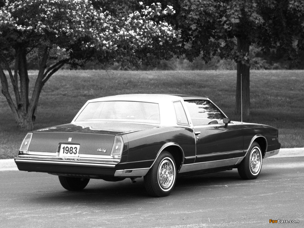 Photos of Chevrolet Monte Carlo 1981–85 (1024 x 768)