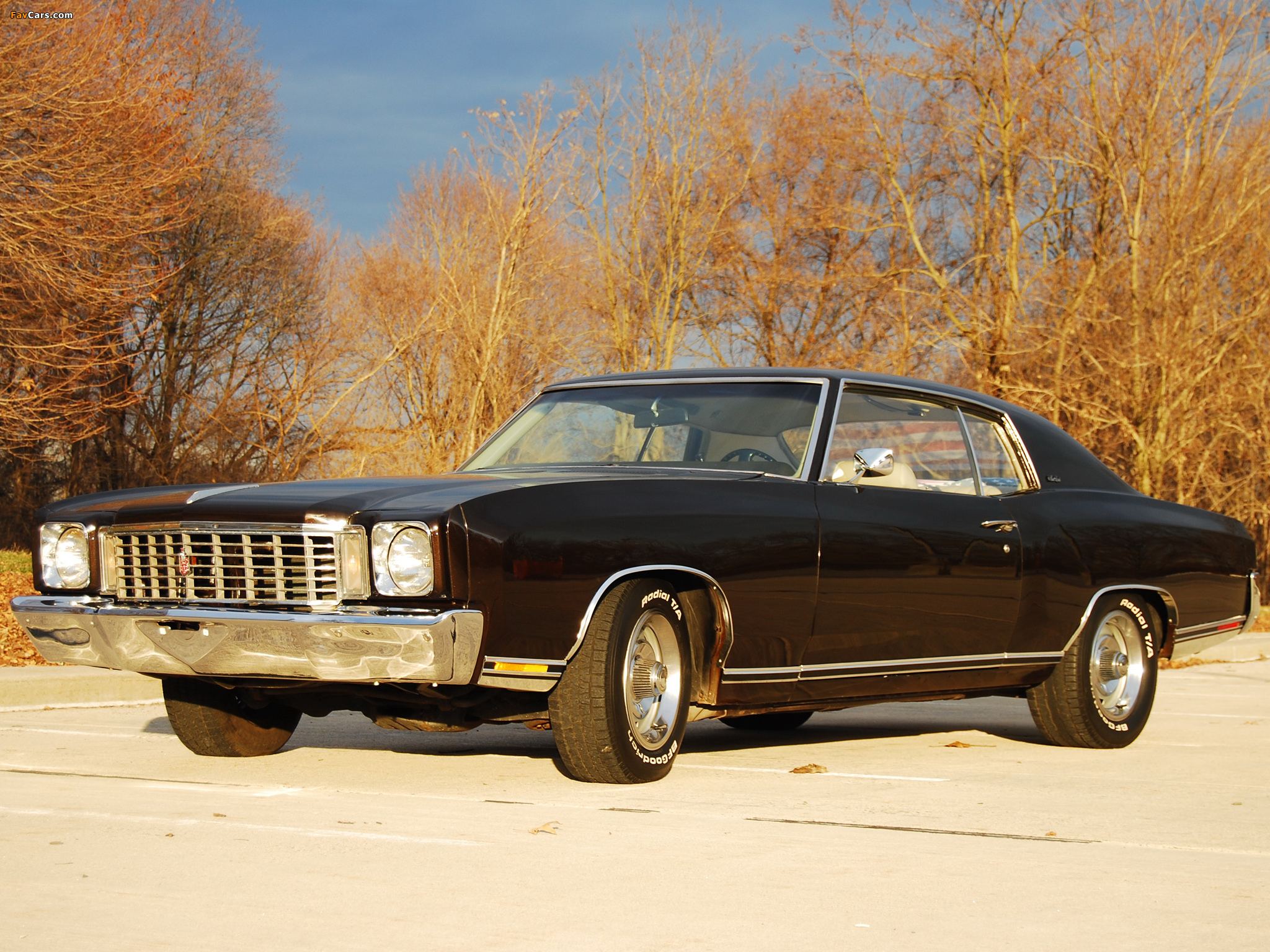Pictures of Chevrolet Monte Carlo 1972 (2048 x 1536)