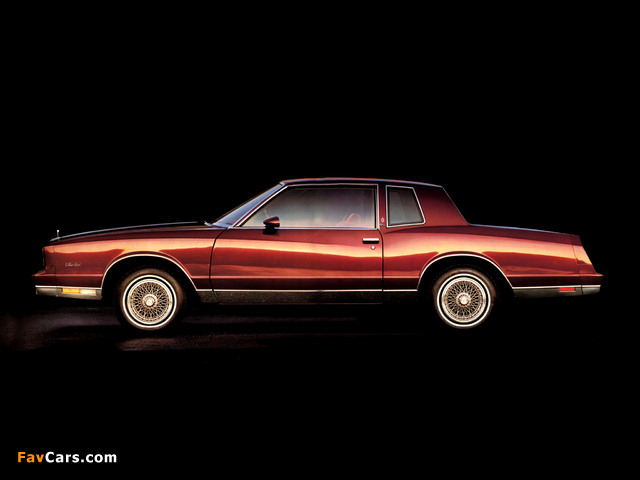Pictures of Chevrolet Monte Carlo 1981–85 (640 x 480)