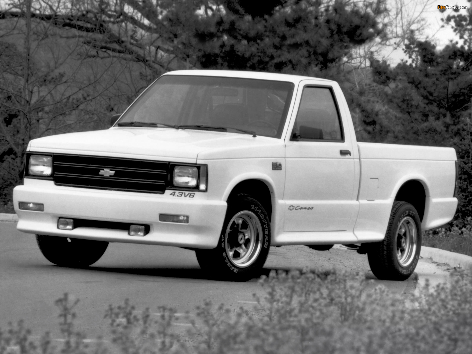 Chevrolet S-10 Cameo 1989–91 images (1600 x 1200)