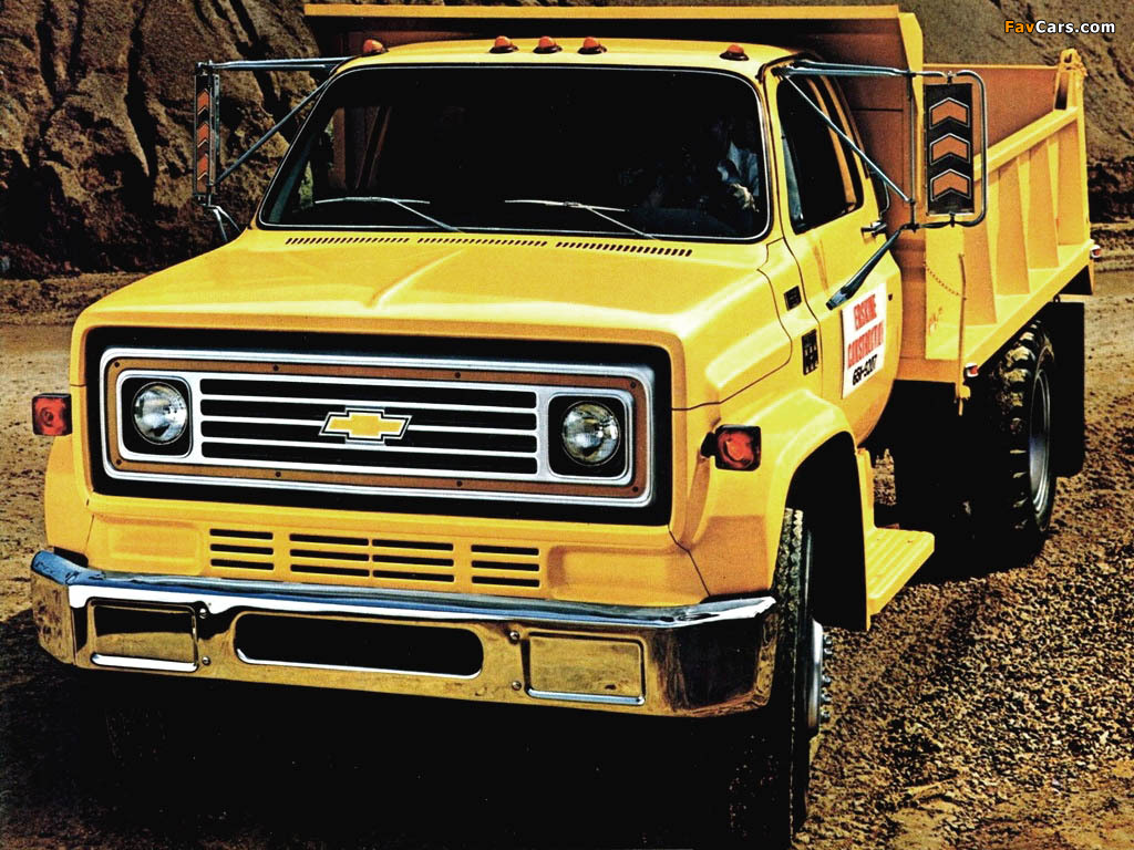 Pictures of Chevrolet C60 Dump Truck 1979 (1024 x 768)