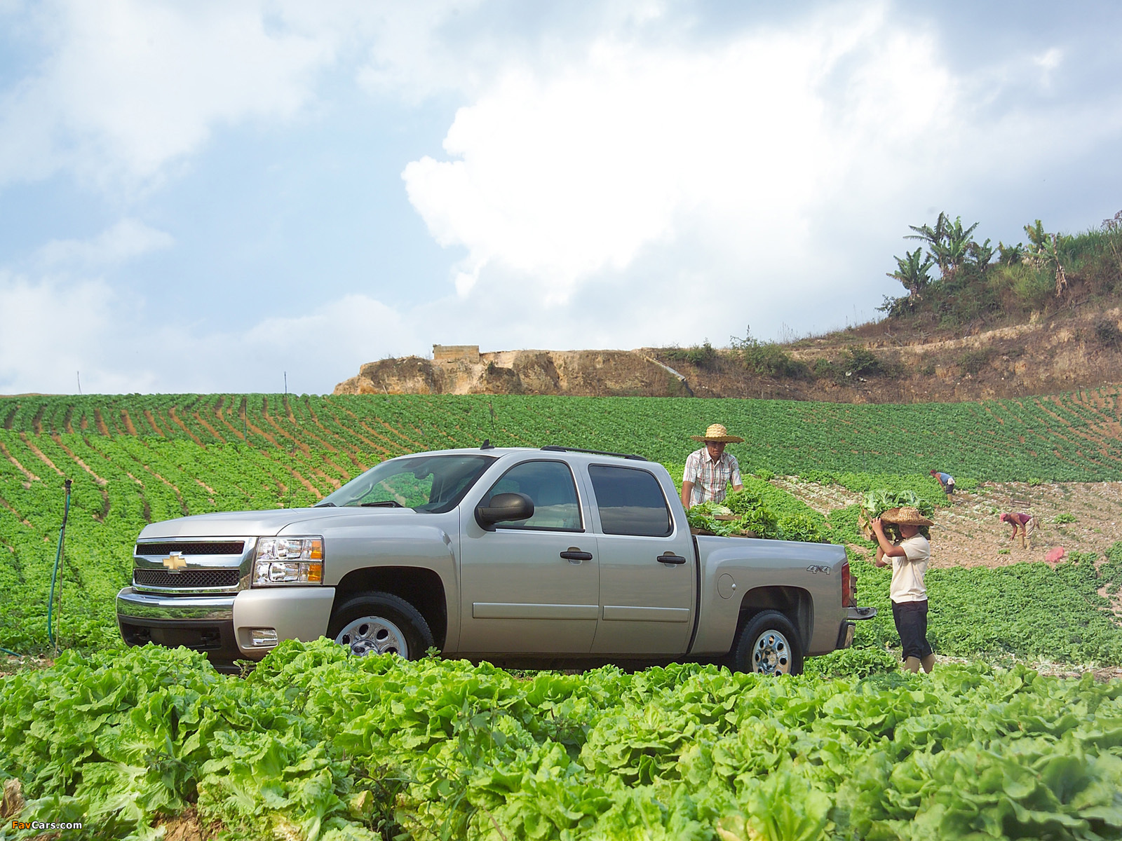 Chevrolet Silverado Crew Cab 2007–13 images (1600 x 1200)