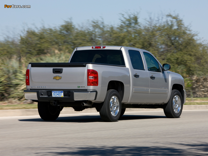 Pictures of Chevrolet Silverado Hybrid Crew Cab 2008–13 (800 x 600)