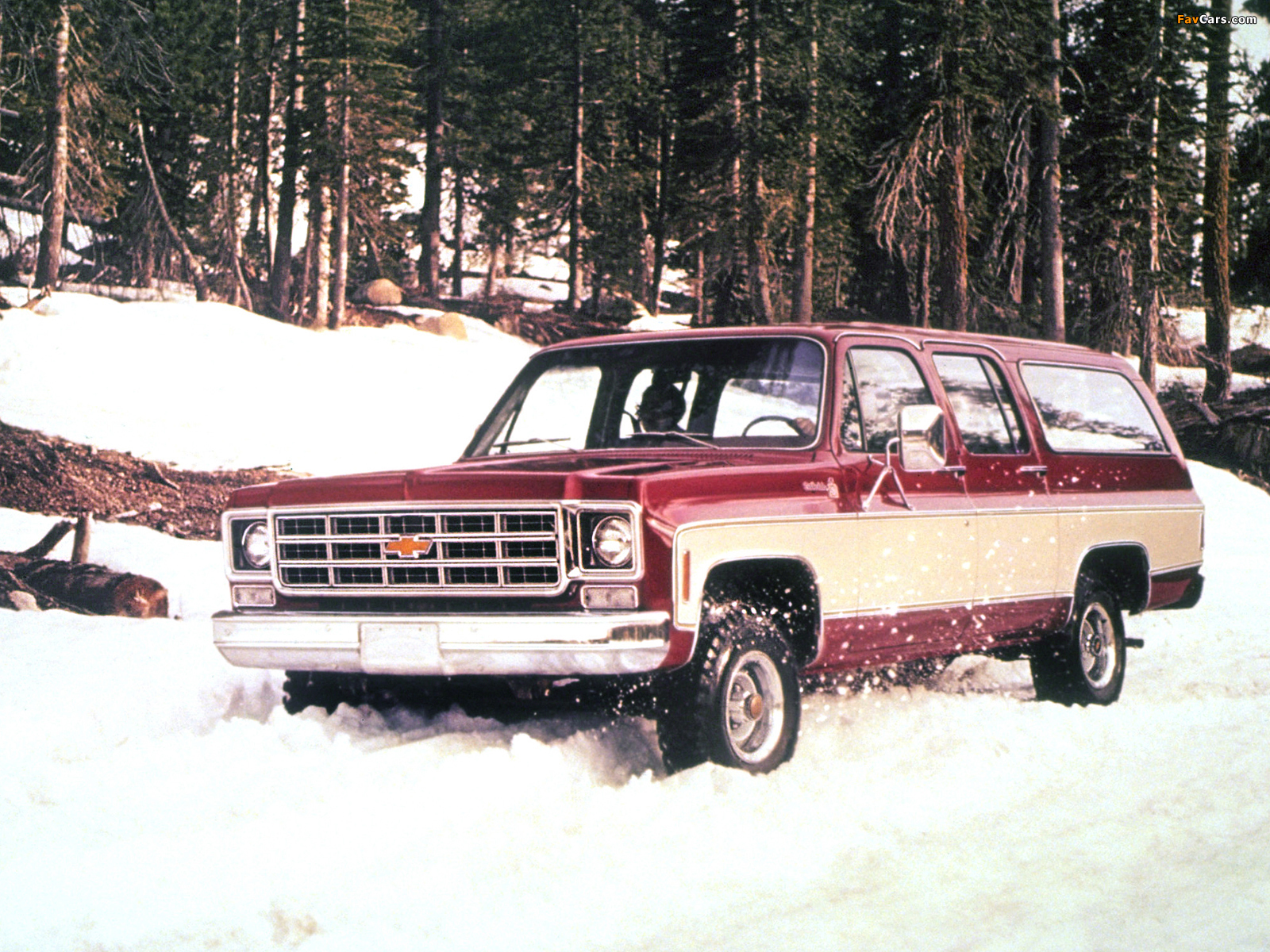 Pictures of Chevrolet Suburban 1977–79 (1600 x 1200)