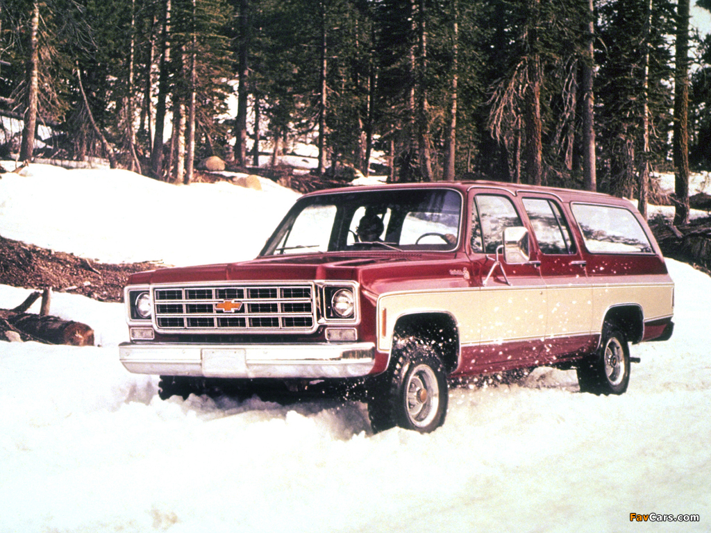 Pictures of Chevrolet Suburban 1977–79 (1024 x 768)