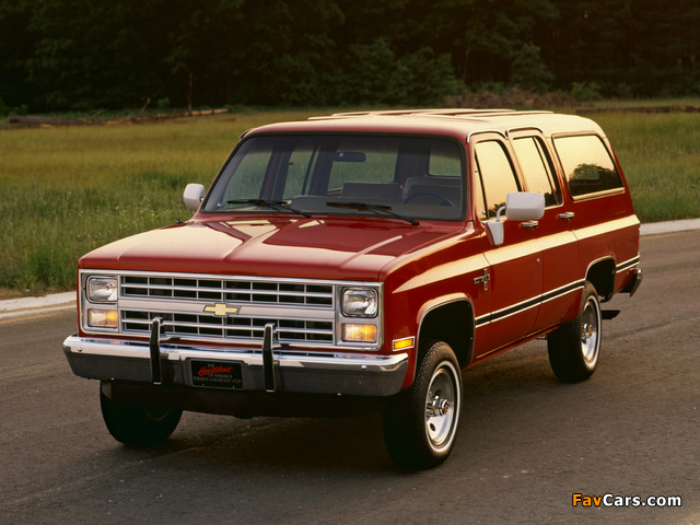 Pictures of Chevrolet Suburban Scottsdale 1982 (640 x 480)