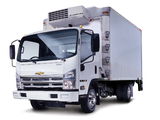 Images of Chevrolet W5500 2007