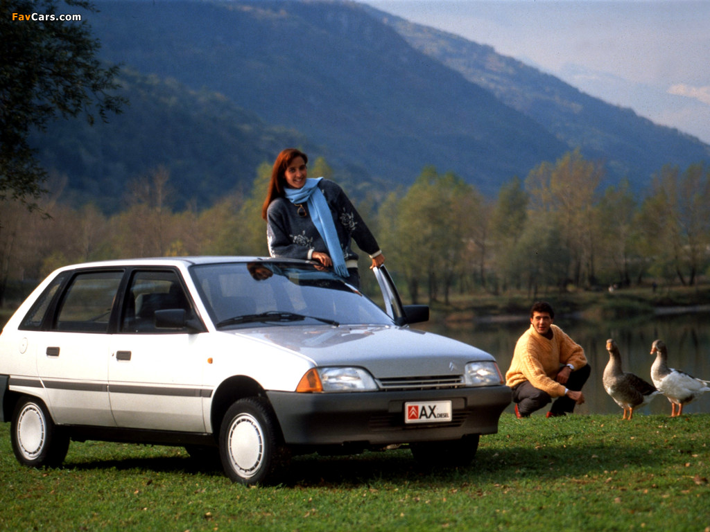 Citroën AX 14 TRD 5-door 1989–91 photos (1024 x 768)