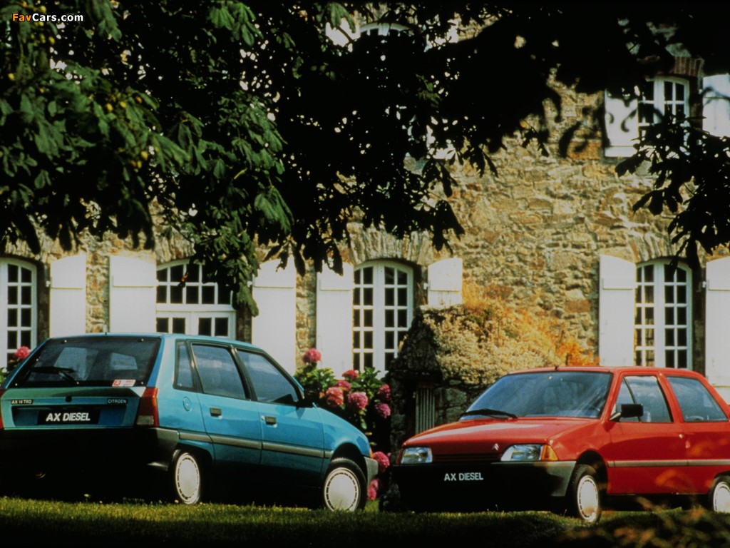 Citroën AX 14 TRD 5-door 1989–91 photos (1024 x 768)