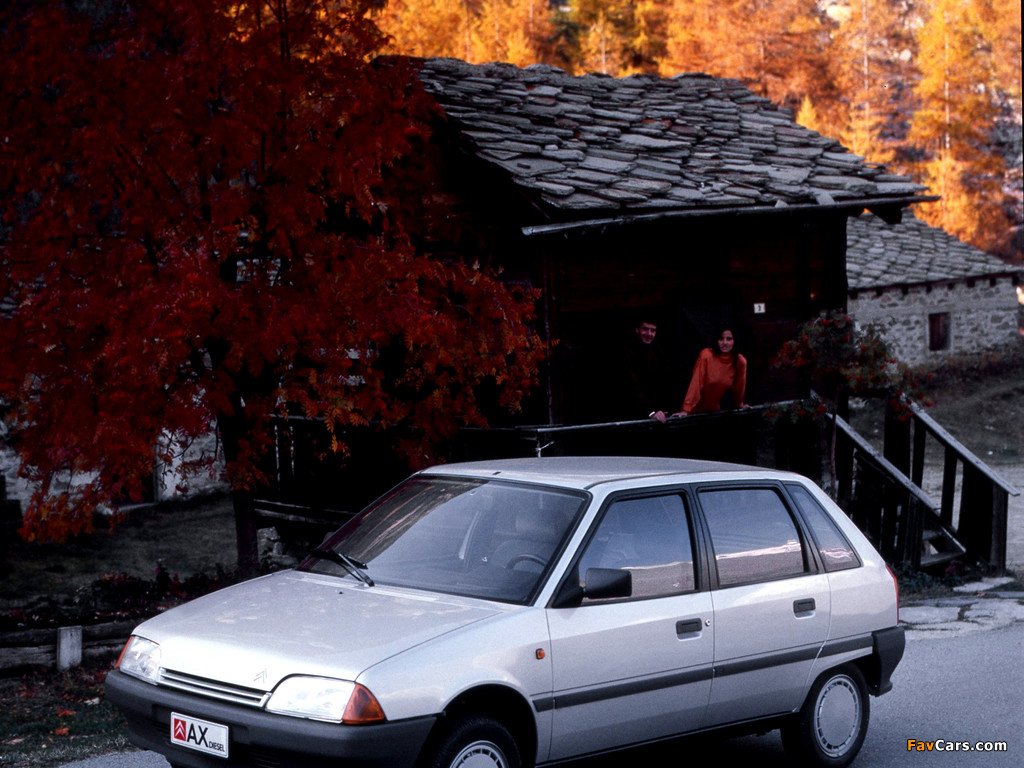 Citroën AX 14 TRD 5-door 1989–91 wallpapers (1024 x 768)