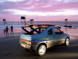 Citroën Berlingo Coupe de Plage Concept 1996 pictures