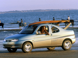 Citroën Berlingo Coupe de Plage Concept 1996 wallpapers