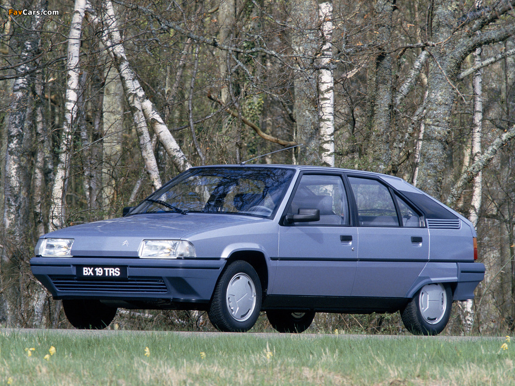 Citroën BX 19 TRS 1986–93 wallpapers (1024 x 768)