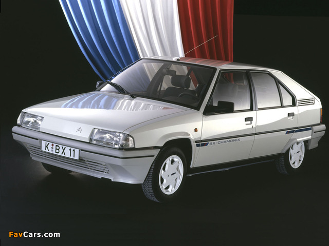 Citroën BX Chamonix 1988 pictures (640 x 480)