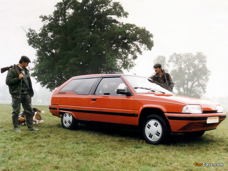 Images of Citroën BX Break De Chasse Dyana Prototype by Heuliez 1986 (800 x 600)