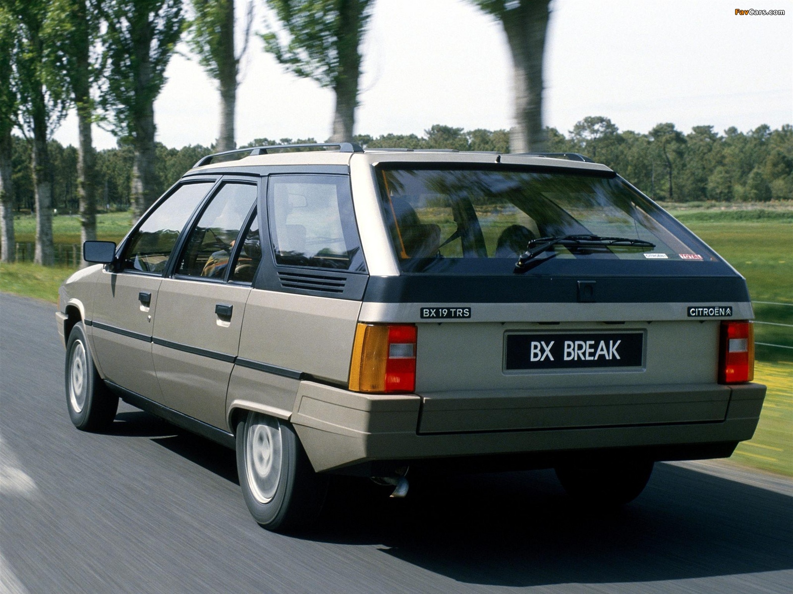 Pictures of Citroën BX Break 1985–86 (1600 x 1200)