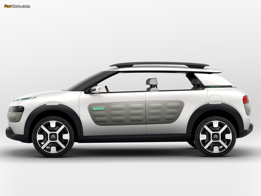 Images of Citroën Cactus Concept 2013 (1024 x 768)