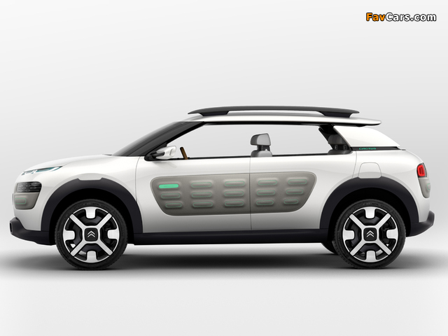 Images of Citroën Cactus Concept 2013 (640 x 480)