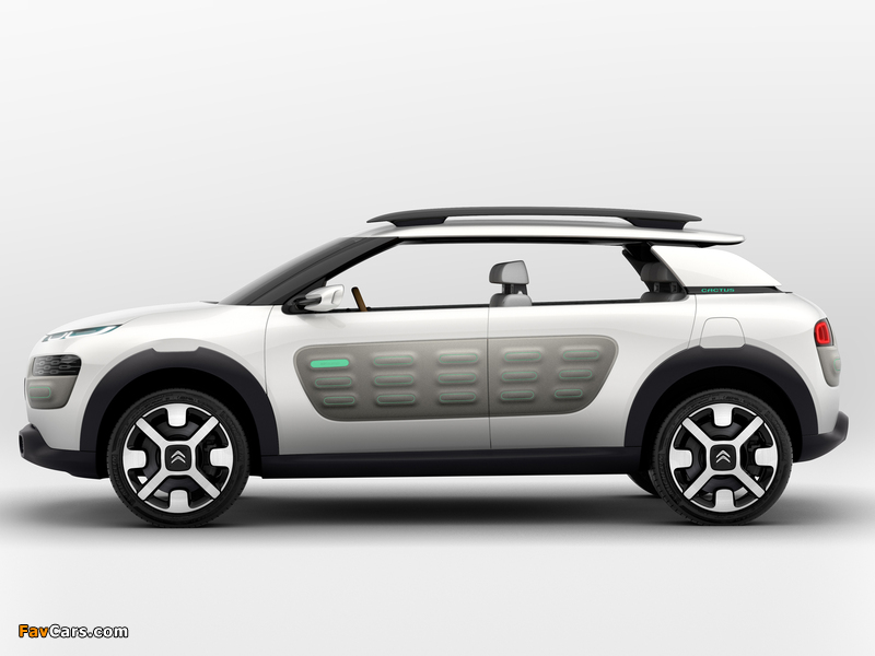 Images of Citroën Cactus Concept 2013 (800 x 600)