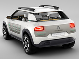 Photos of Citroën Cactus Concept 2013
