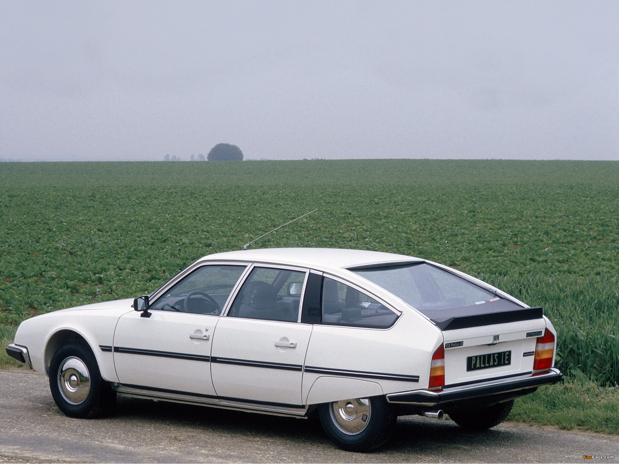 Pictures of Citroën CX Pallas 1974–86 (2048 x 1536)