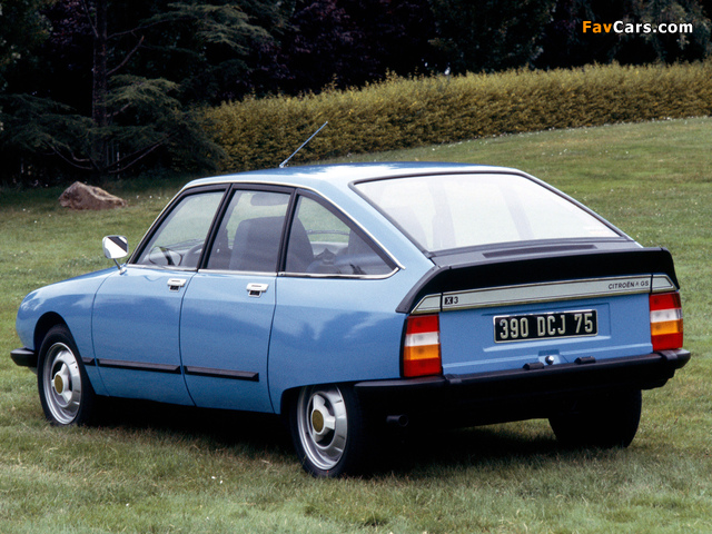 Citroën GS X3 1979–80 photos (640 x 480)