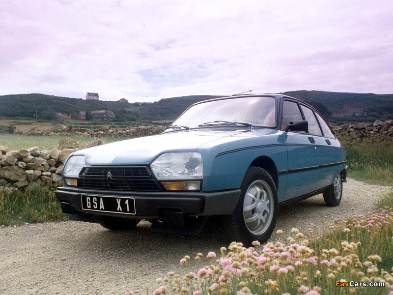 Photos of Citroën GSA 1979–86 (800 x 600)