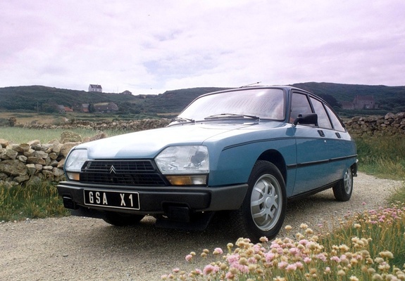 Photos of Citroën GSA 1979–86