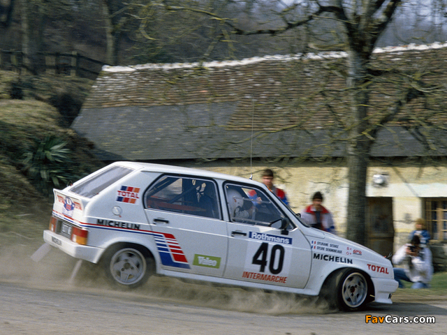 Citroën Visa 1000 Pistes Rally Car 1983–86 photos (640 x 480)