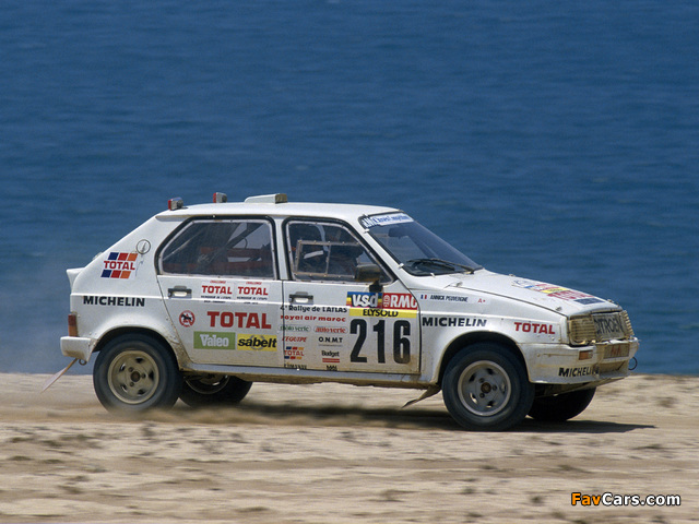 Pictures of Citroën Visa 1000 Pistes Rally Car 1983–86 (640 x 480)