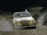 Pictures of Citroën Visa 1000 Pistes Rally Car 1983–86