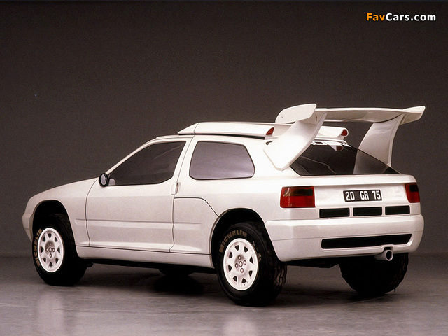 Photos of Citroën ZX Rally Raid Prototype 1990 (640 x 480)