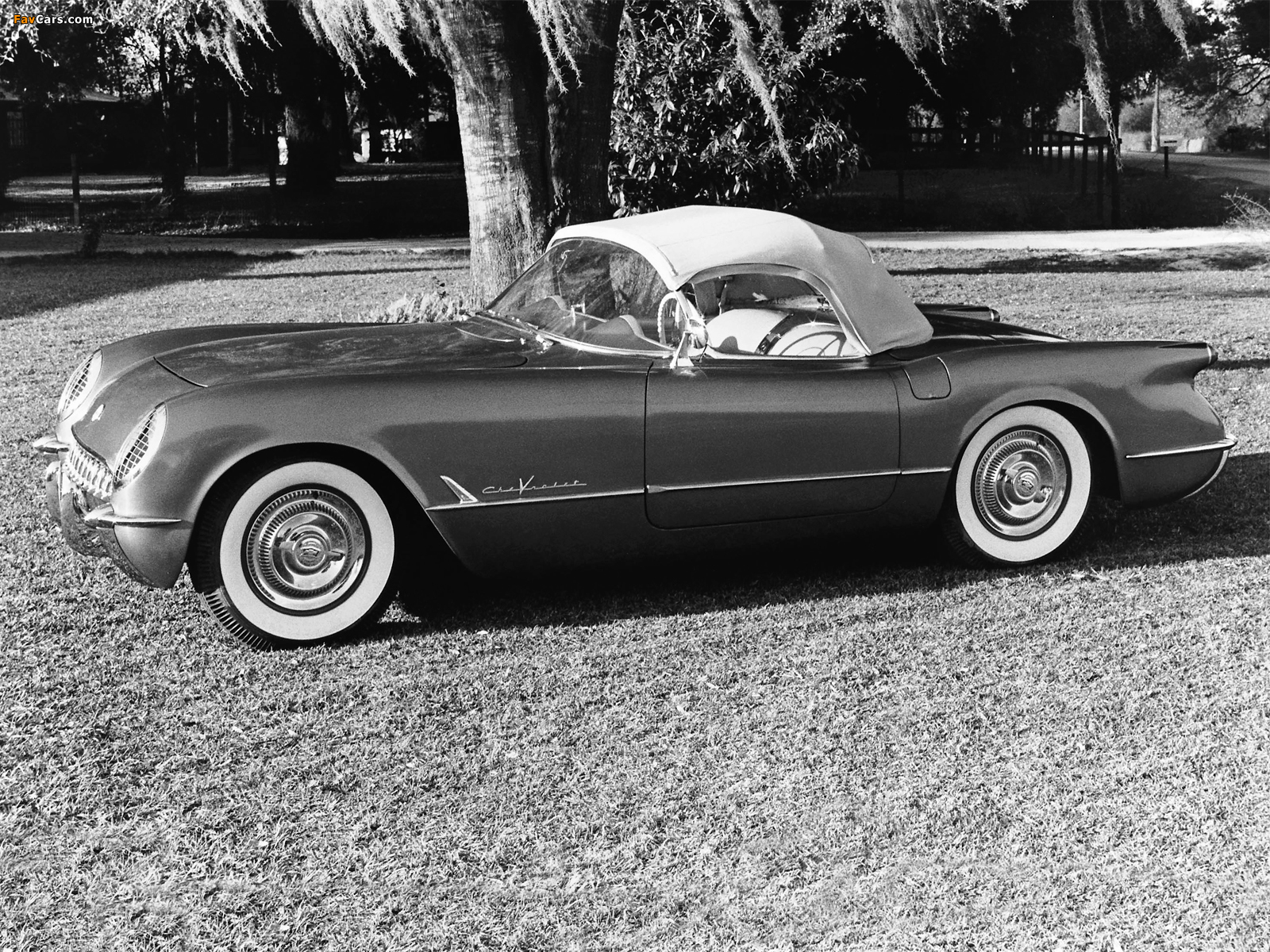 Corvette C1 1955 photos (1600 x 1200)