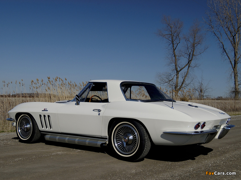 Corvette Sting Ray L78 396/425 HP Convertible (C2) 1965 images (800 x 600)