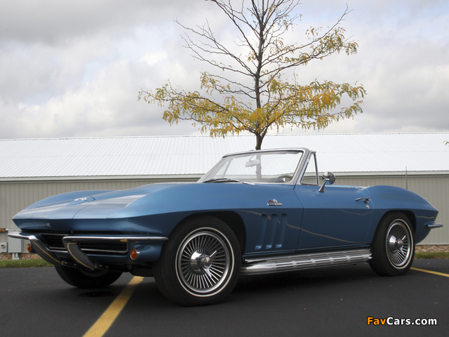 Corvette Sting Ray L78 396/425 HP Convertible (C2) 1965 pictures (640 x 480)