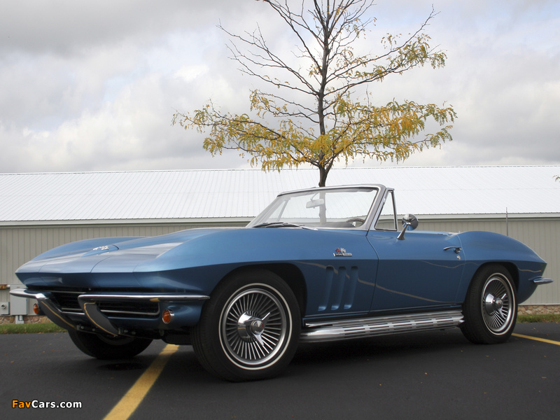 Corvette Sting Ray L78 396/425 HP Convertible (C2) 1965 pictures (800 x 600)
