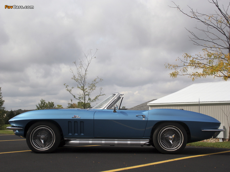 Images of Corvette Sting Ray L78 396/425 HP Convertible (C2) 1965 (800 x 600)