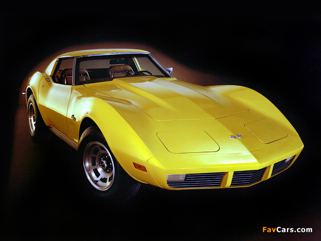 Corvette Stingray (C3) 1973 pictures (640 x 480)