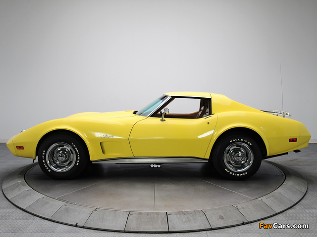 Corvette Stingray L82 350 (C3) 1974 images (640 x 480)