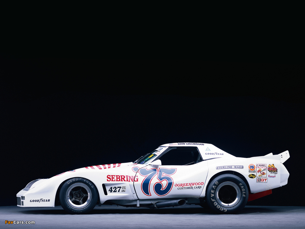Greenwood Corvette IMSA Road Racing GT (C3) 1974–75 photos (1024 x 768)